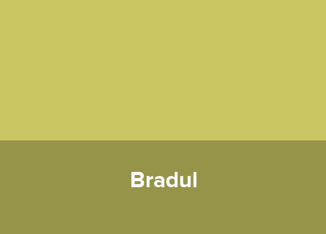 Minihotel Bradul
