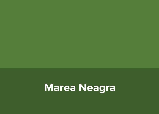 Minihotel Marea Neagra