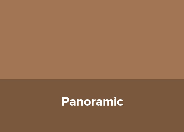 Garsoniera Panoramic