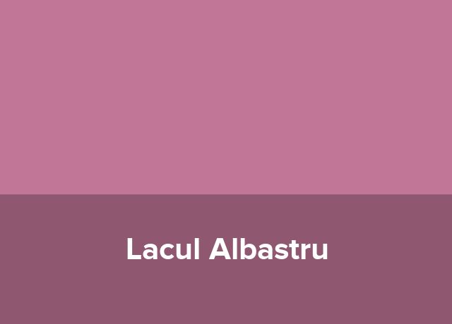 Hostel Lacul Albastru