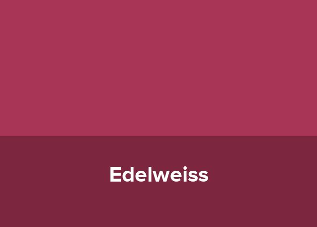 Garsoniera Edelweiss
