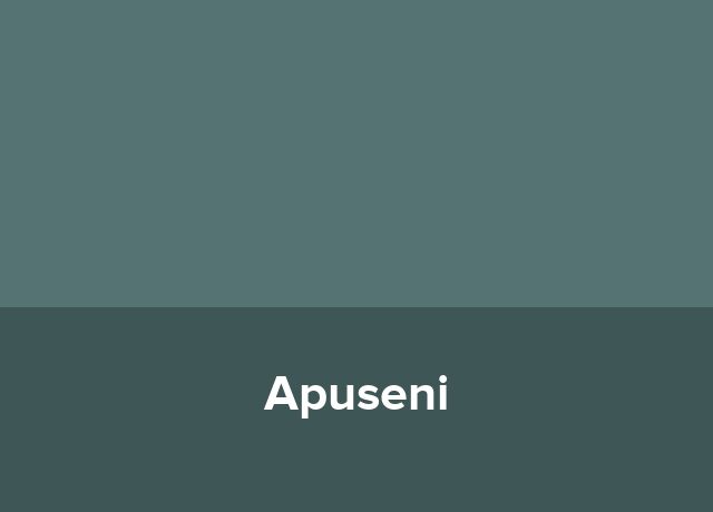 Pensiune urbana Apuseni