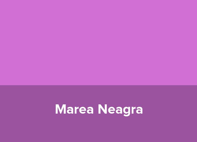 Hostel Marea Neagra