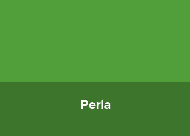 Penthouse Perla