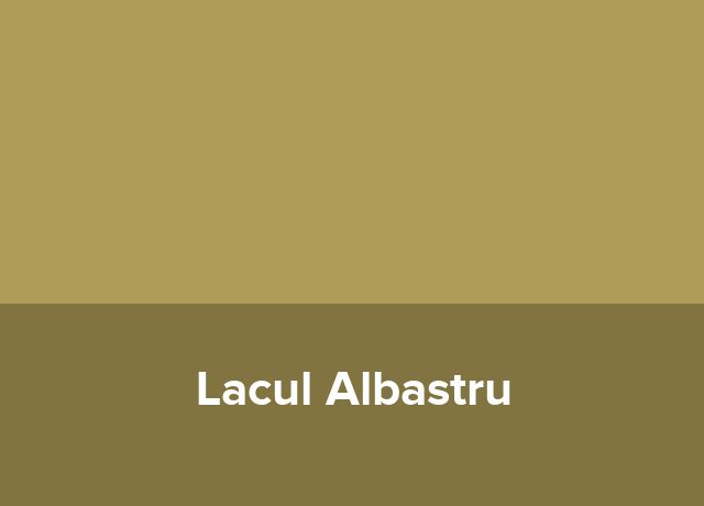 Hostel Lacul Albastru
