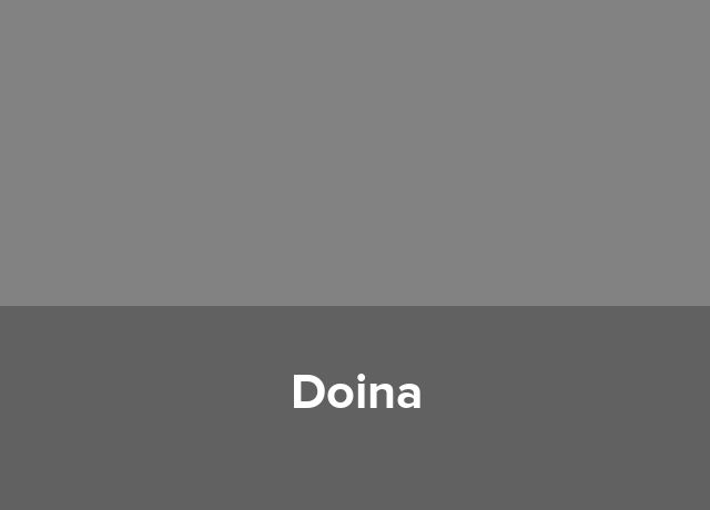 Pensiune urbana Doina
