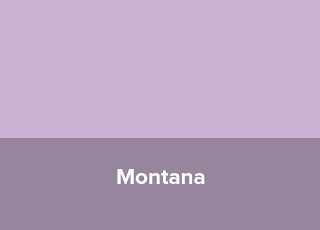 Casute lacustre Montana