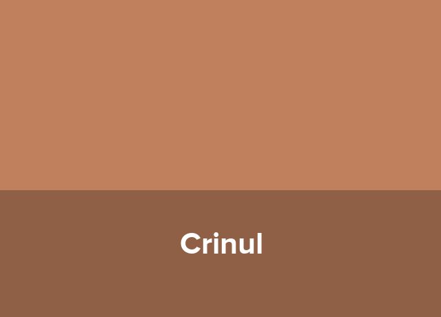 Complex turistic Crinul