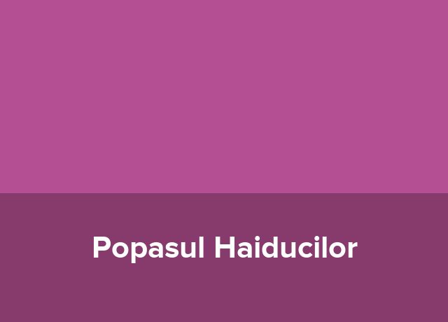 Complex turistic Popasul Haiducilor