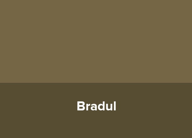 Nava fluviala Bradul