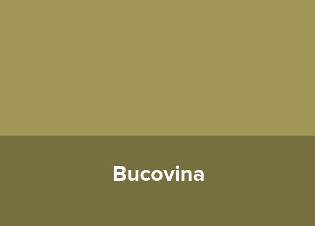 Sat de vacanta Bucovina