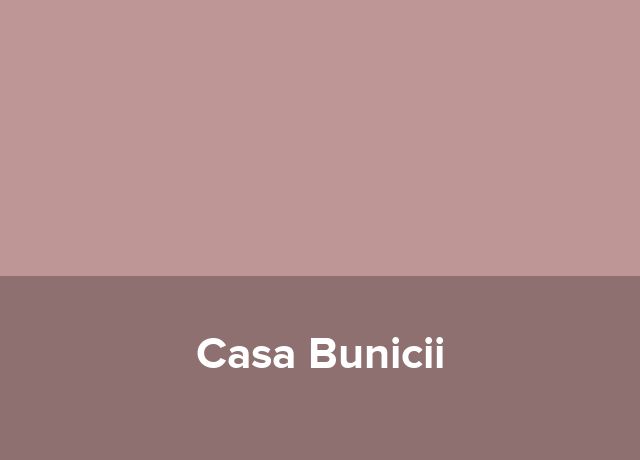 Ponton plutitor Casa Bunicii