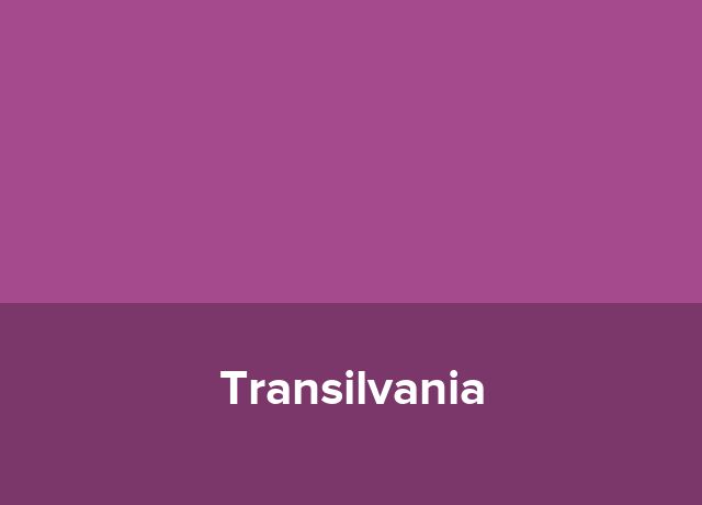 Pub Transilvania
