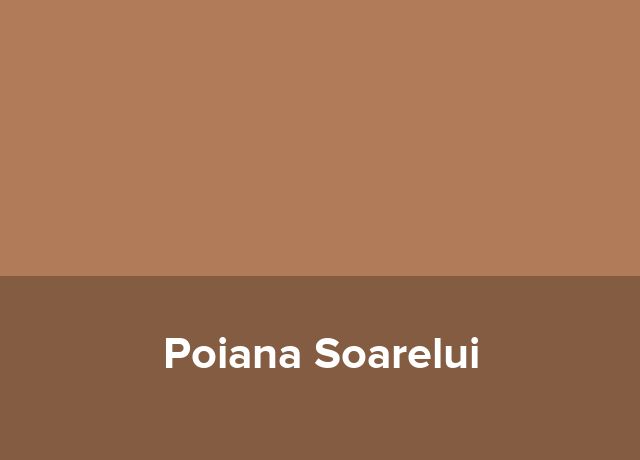 Restaurant Poiana Soarelui