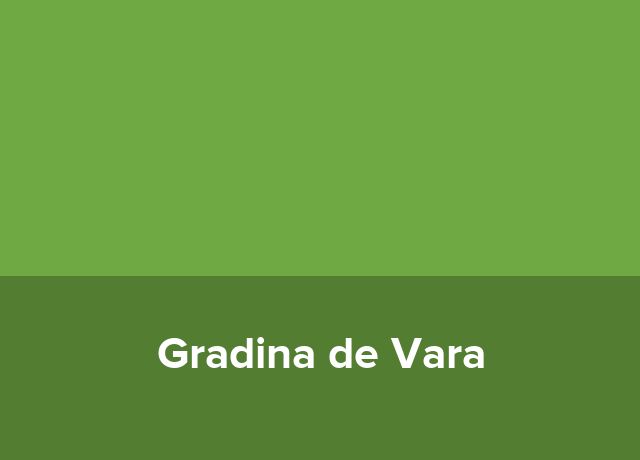 Casute Gradina de Vara