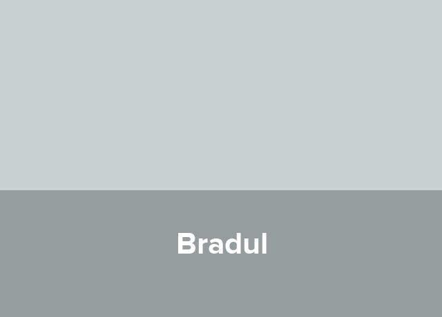 Casute lacustre Bradul
