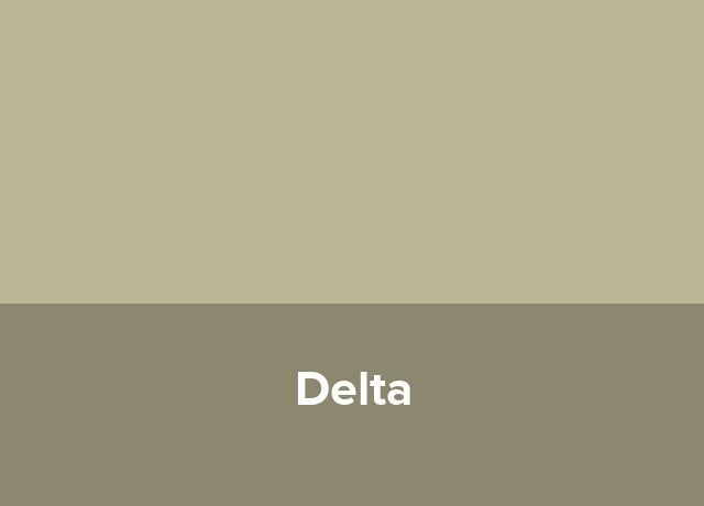 Studio Delta