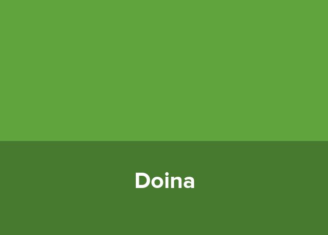 Nava fluviala Doina