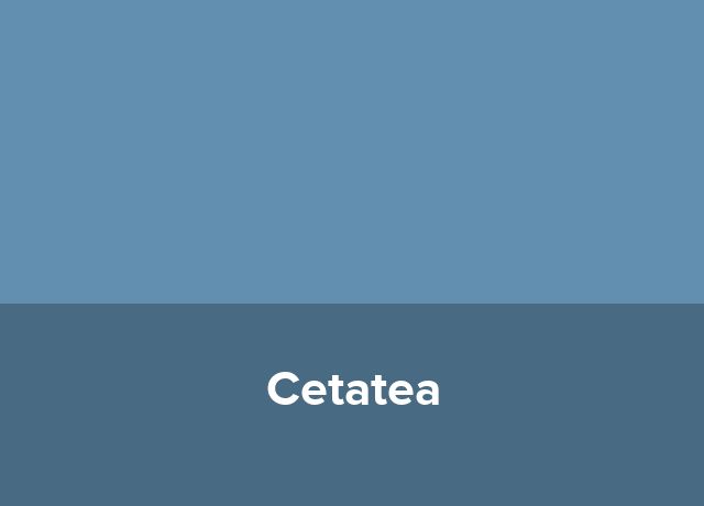 Pensiune rurala Cetatea