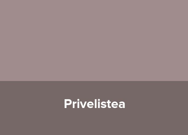 Camere de inchiriat Privelistea