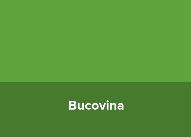 Complex gospodaresc Bucovina