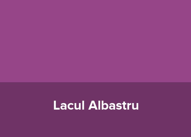 Hotel Lacul Albastru