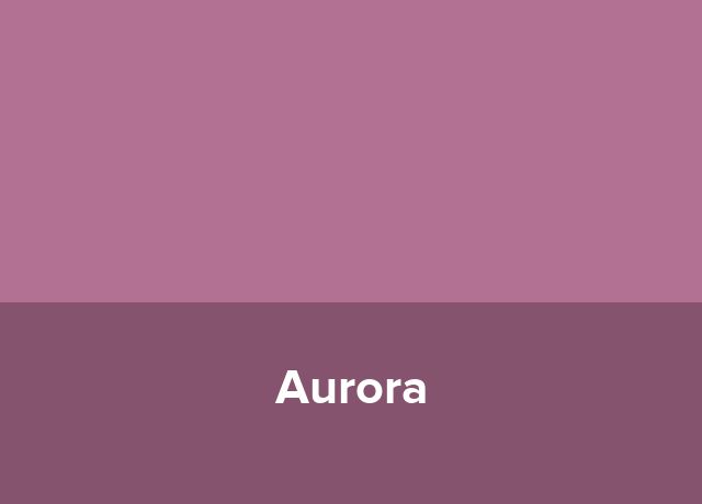 Casa de vacanta Aurora