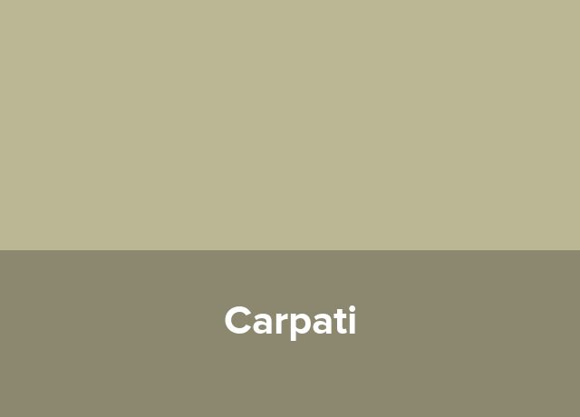 Hotel Carpati