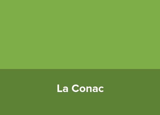 Hostel La Conac