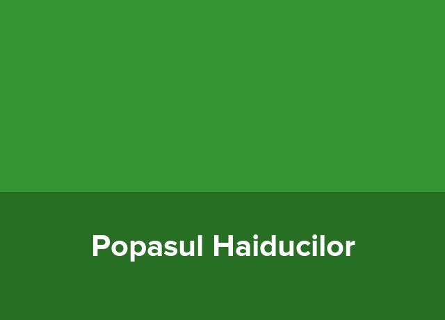 Penthouse Popasul Haiducilor