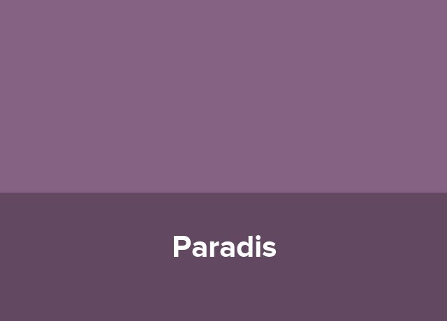 Penthouse Paradis