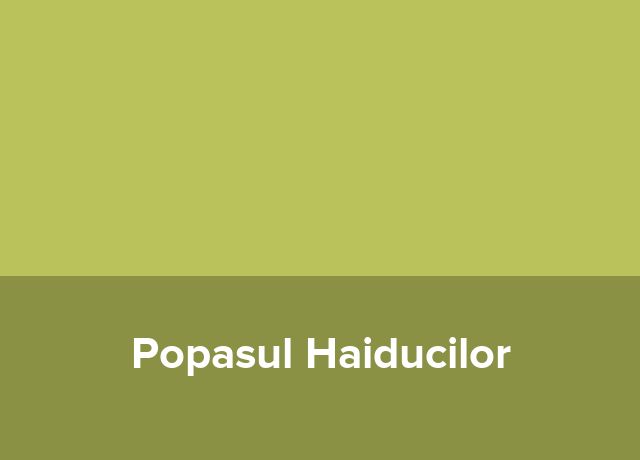 Pensiune urbana Popasul Haiducilor