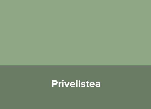 Popasul Privelistea