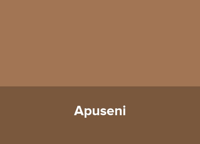 Boutique Apuseni