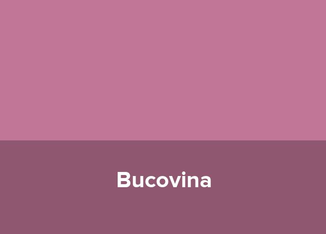 Pensiunea Bucovina