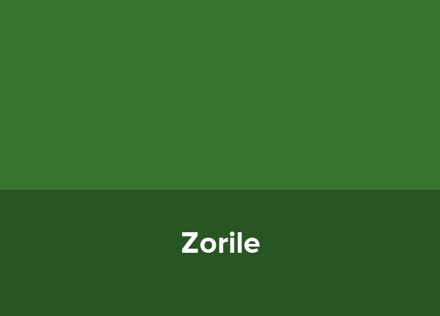 Centru de tineret Zorile
