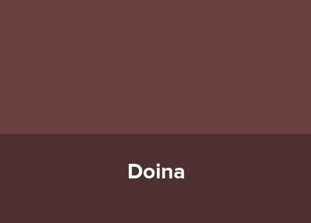 Casute tip camping Doina