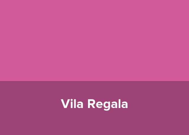 Ponton plutitor Vila Regala