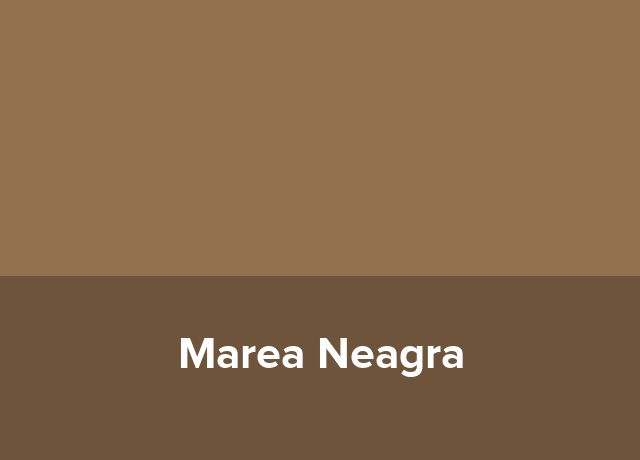 Complex hotelier Marea Neagra