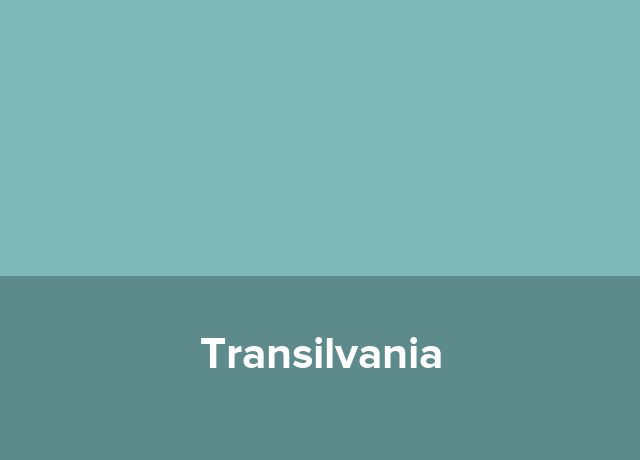 Motel Transilvania
