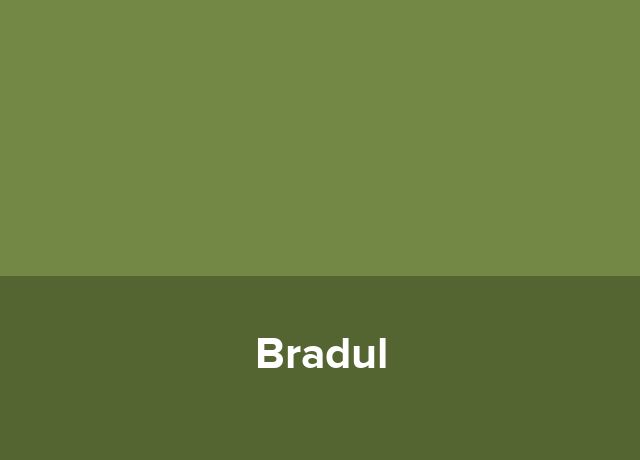 Ferma Bradul