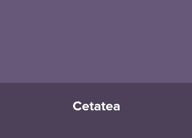 Domeniul Cetatea