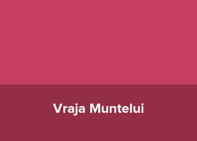 Conac Vraja Muntelui