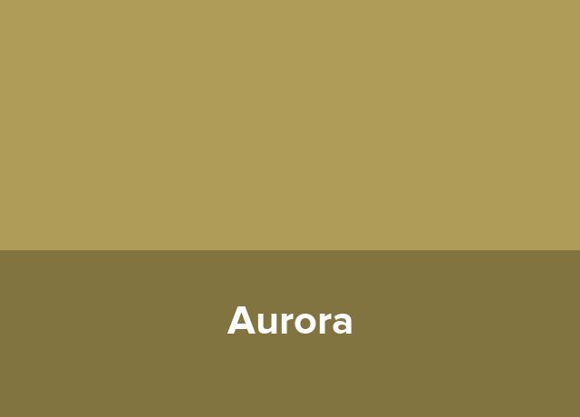 Centru de vacante Aurora