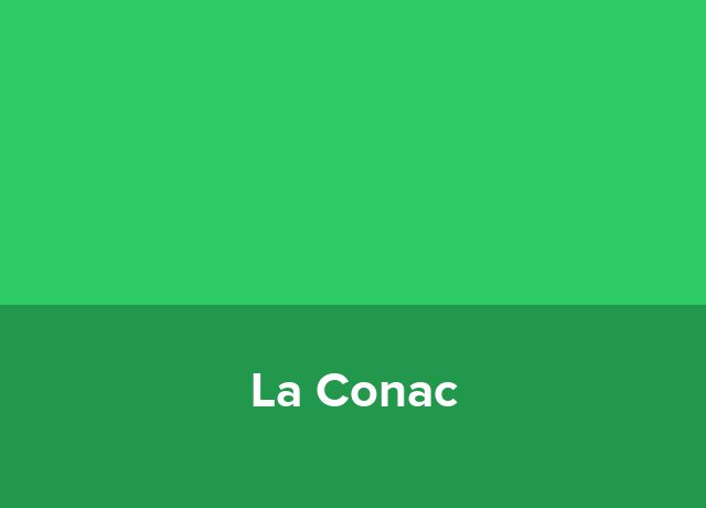 Pensiune urbana La Conac