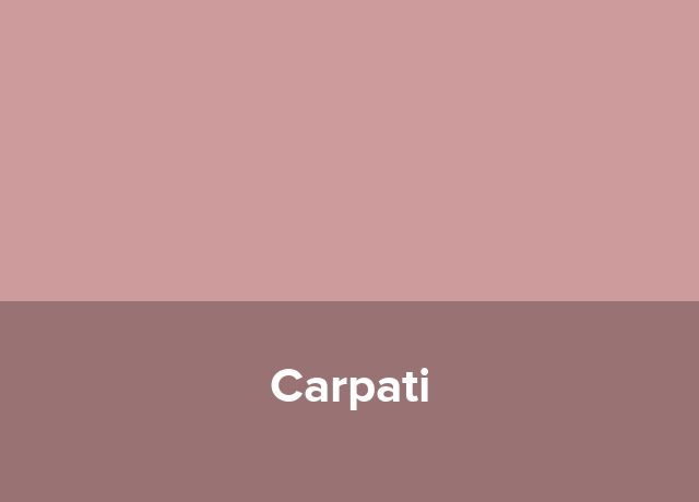 Casa de vacanta Carpati