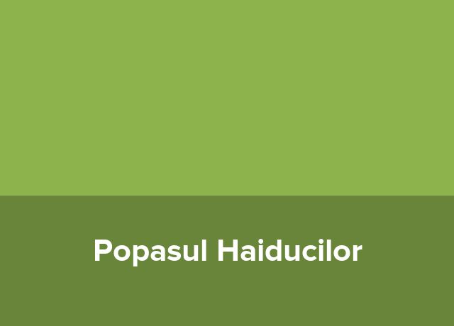 Cazare Popasul Haiducilor