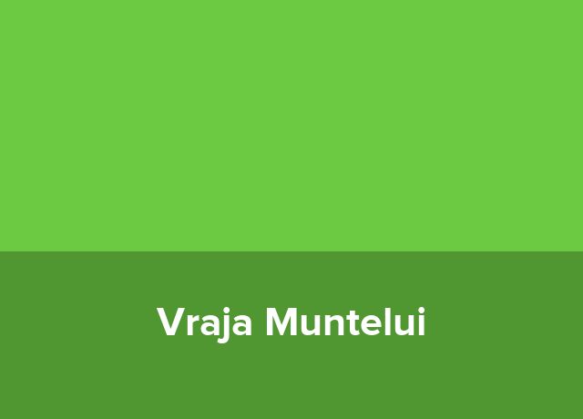 Casuta Vraja Muntelui