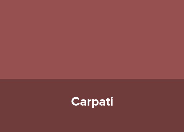 Microcomplex Carpati