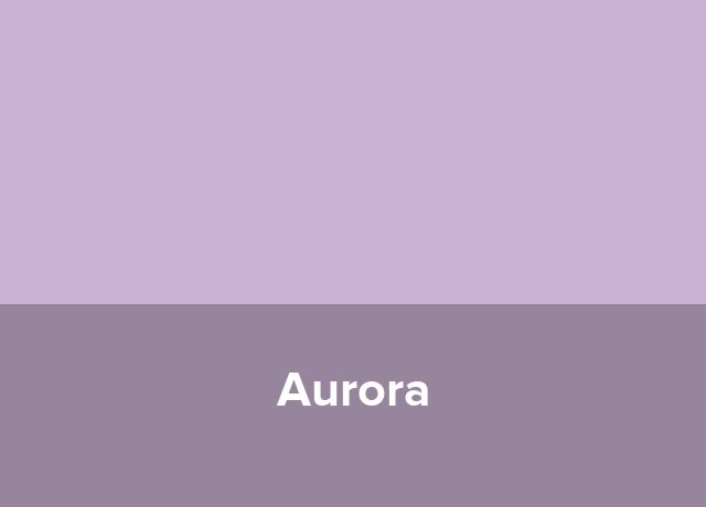 Pensiunea Aurora